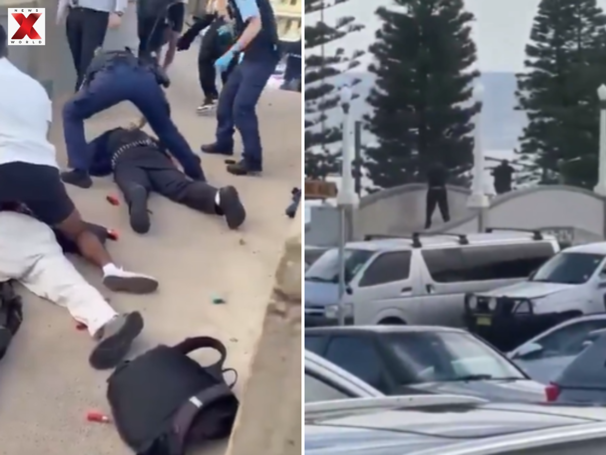 Two men armed with guns opened fire on the crowd in a mass shooting (PHOTO: X)