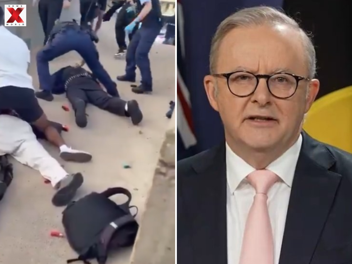 Australian Jewish Association slams PM Albanese (PHOTO: X)