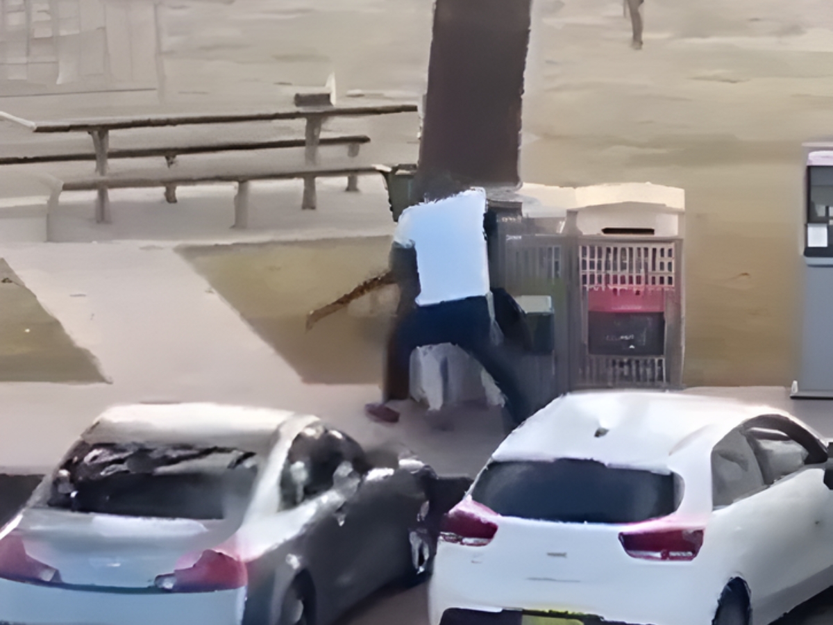 Bondi Beach terror attack hero Ahmed al Ahmed disarmed a gunman, was shot twice, and is recovering as Australia hails his bravery.