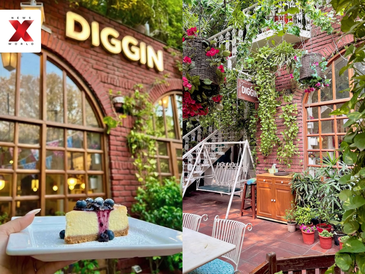 Diggin Cafe- ₹1800 for two