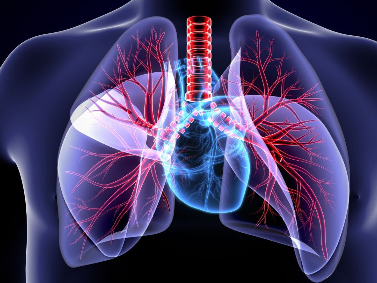 Lung And Heart Function