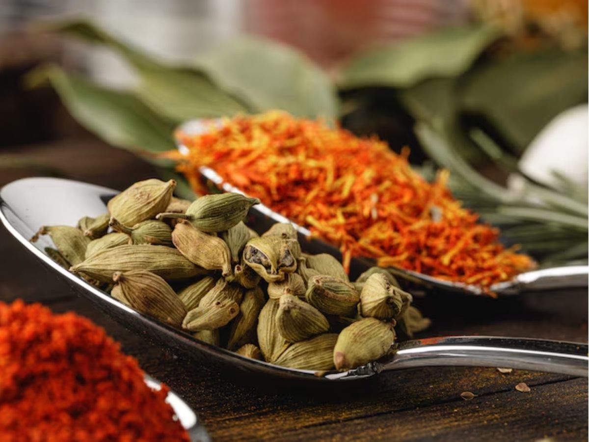 Spice Plantation in India