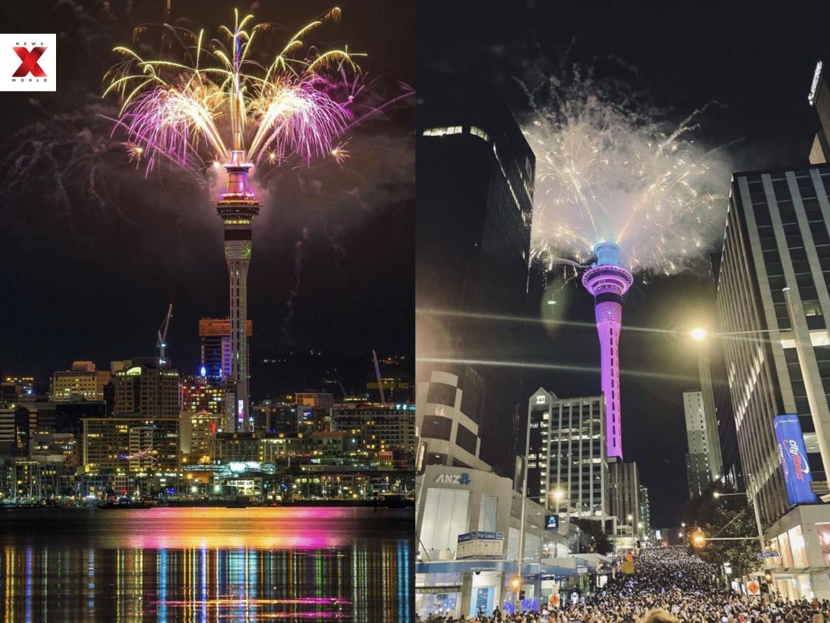 Auckland New York Firework