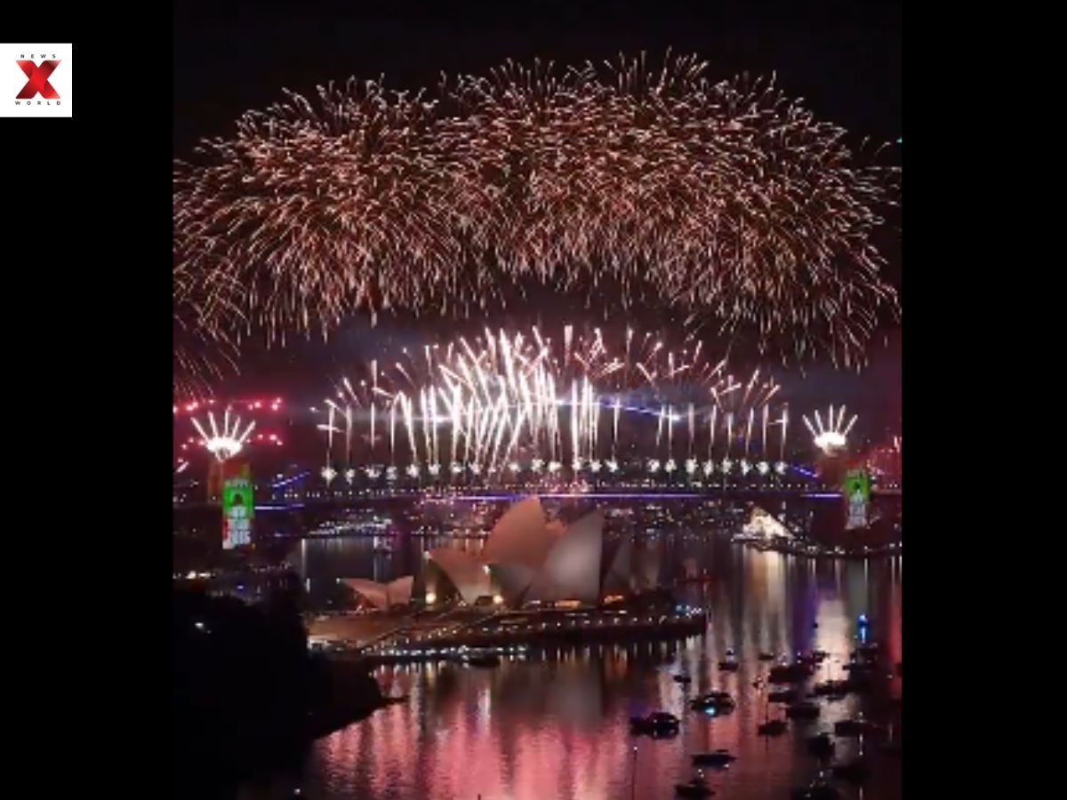 Sydeny New York Firework