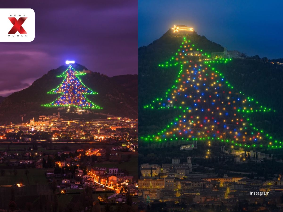 Gubbio Hillside Tree