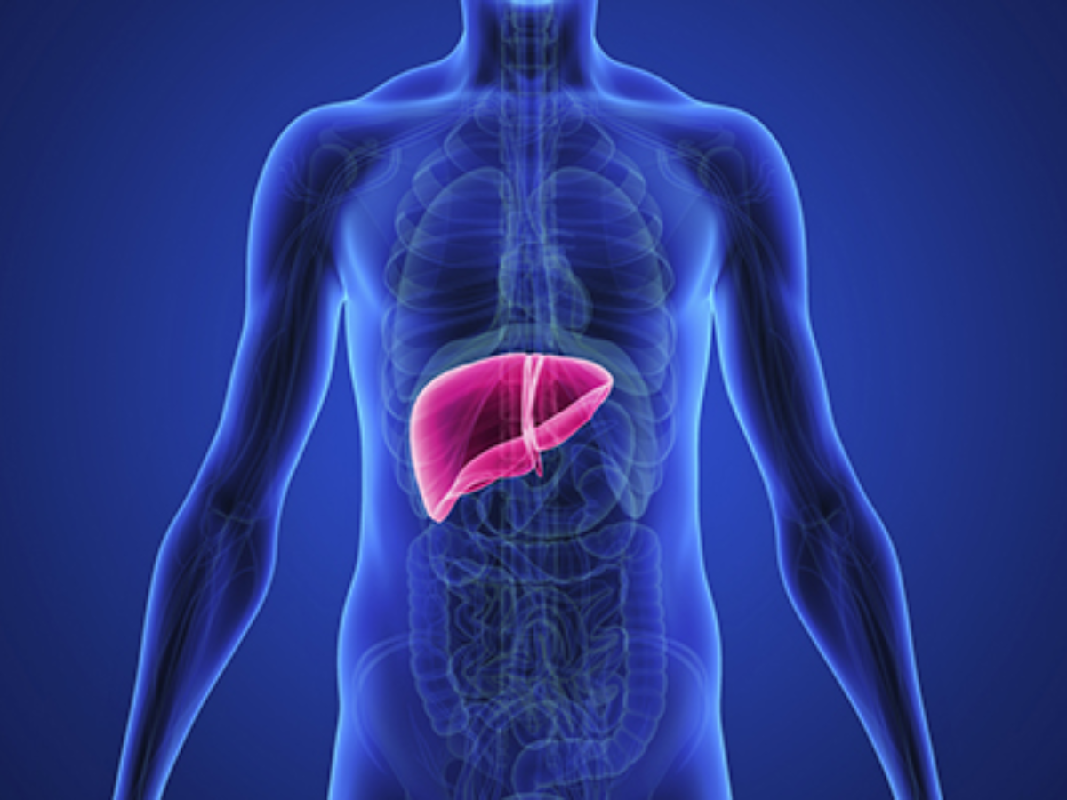 3. Supports Liver Health