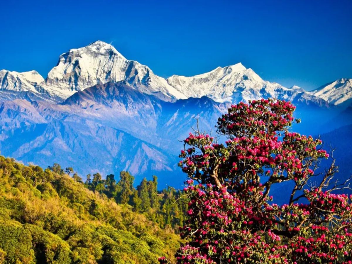 Nepal