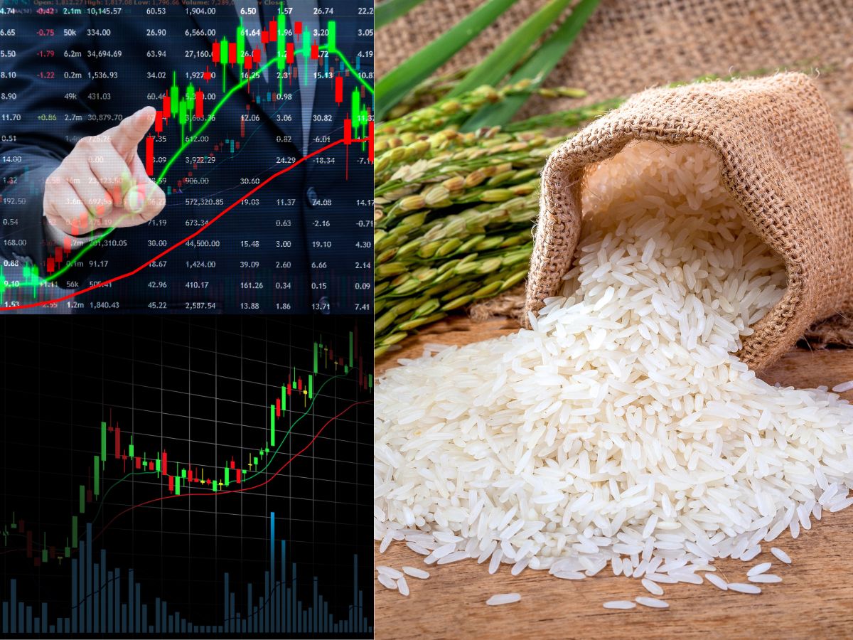 Indian rice exporter stocks fell sharply after Trump hinted at fresh US tariffs.