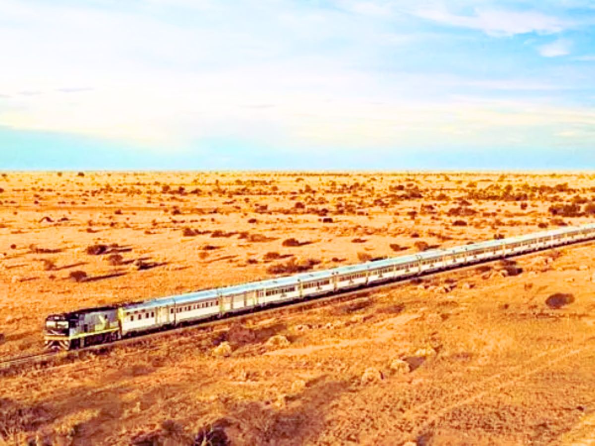 Ride through the golden sands of Rajasthan on the Desert Queen