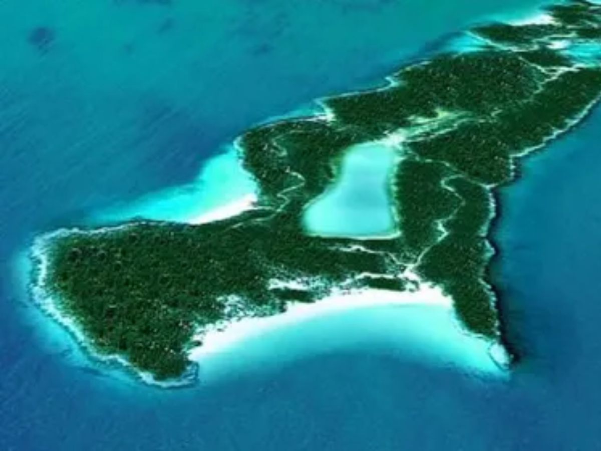 Mel Gibson is Now a Land Baron in Fiji