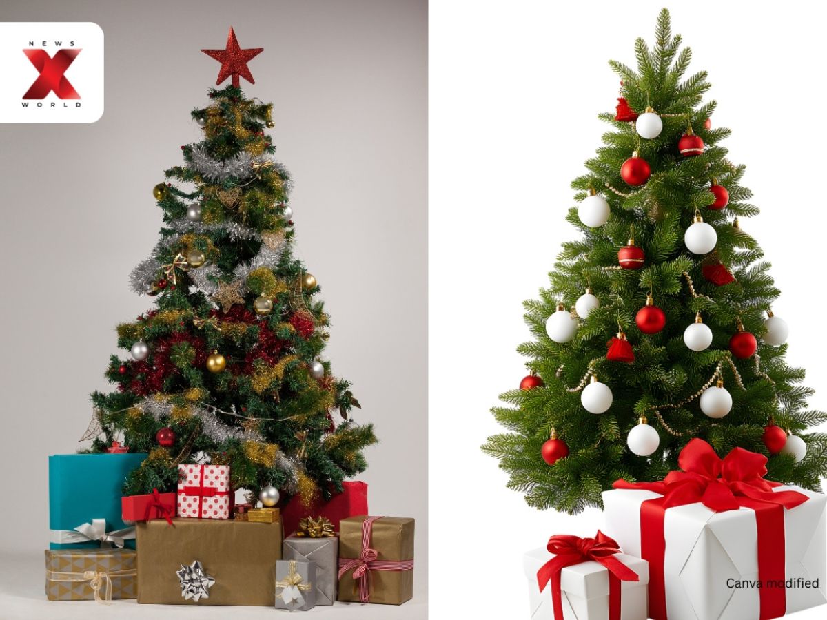 From Classic Abundance To Elegant Simplicity, Christmas Trees Capture The Joy Of Festive Decorating