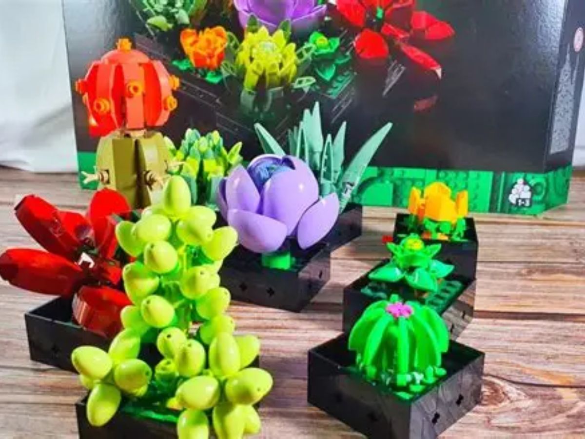 Desk-Side Wellness (Succulent/LEGO)