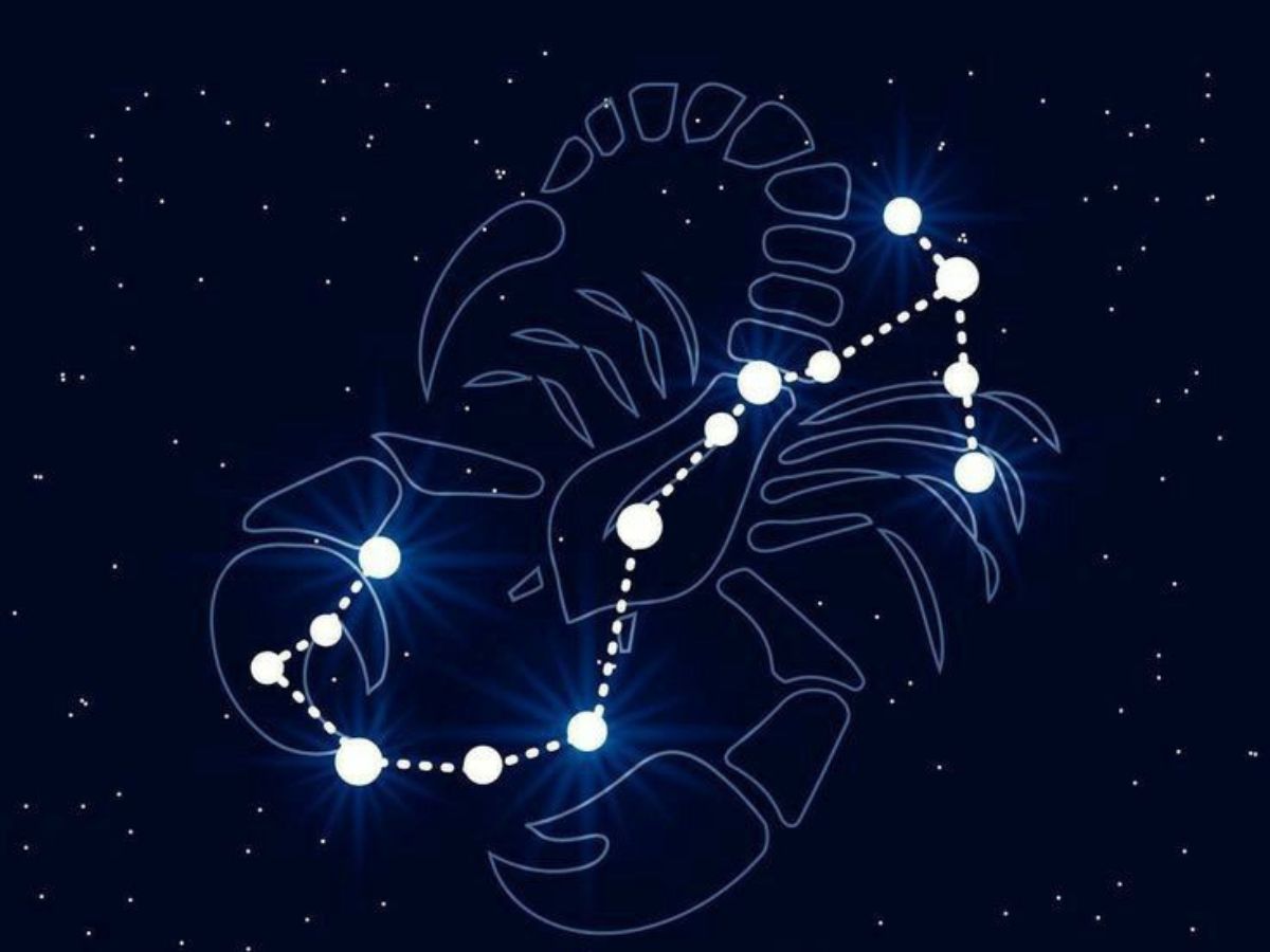 Scorpio October 23 to November 21