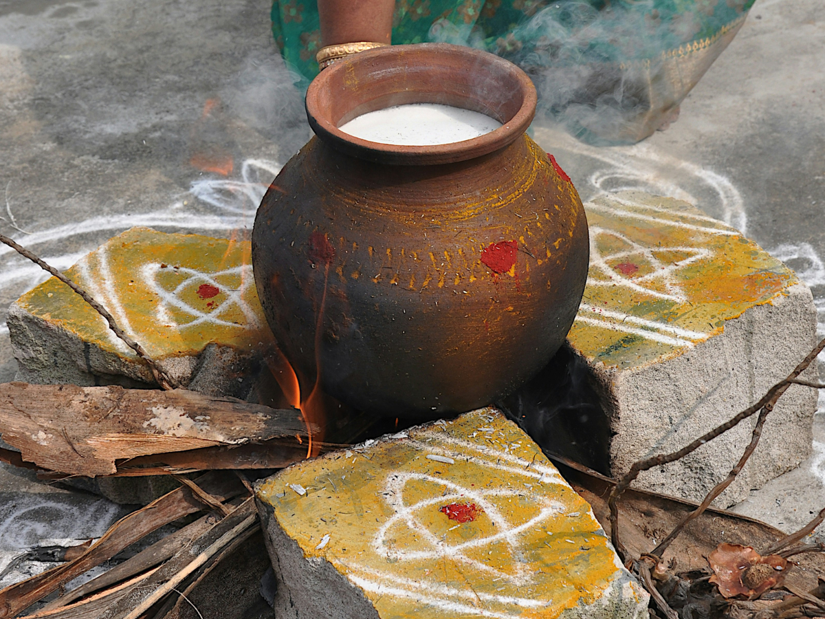 Pongal More Than a Festival Dish