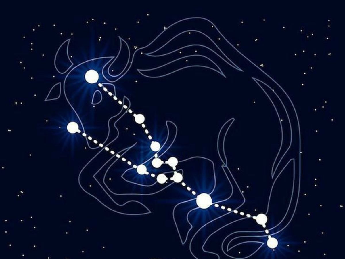 Taurus April 20 to May 20