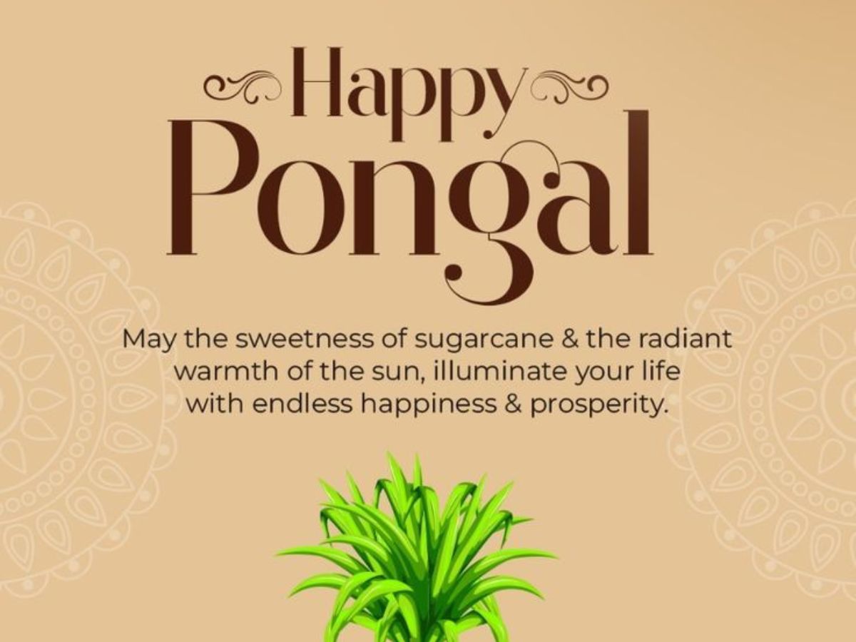 Traditional Pongal Festival Wishes