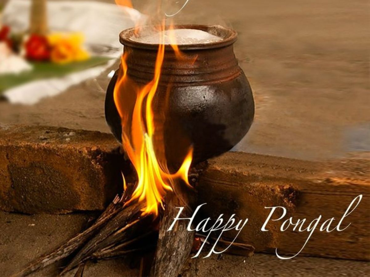 Sweet & Simple Pongal 2026 Wishes