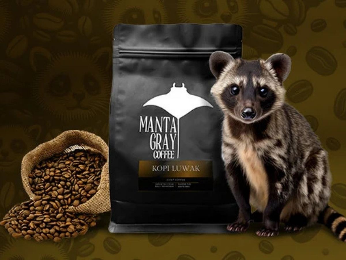 Kopi Luwak Coffee