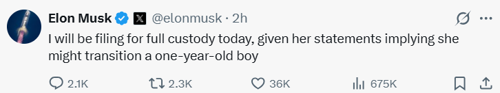 ‘I Will Be Filing For…’ Elon Musk Seeks Full Custody Of 1-Year-Old Son With Ashley St Clair After She Implies Openness To Gender Transition