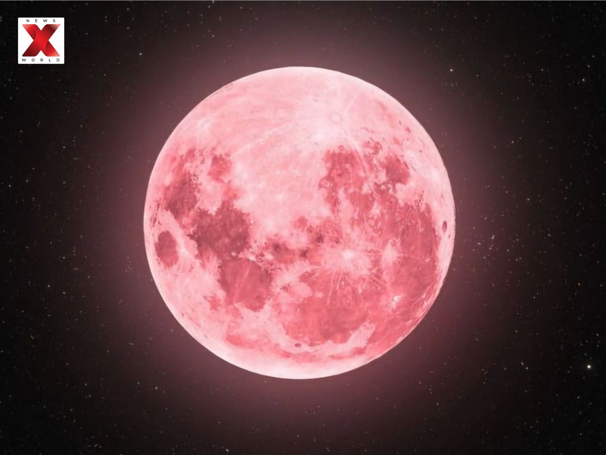Pink Moon Significance