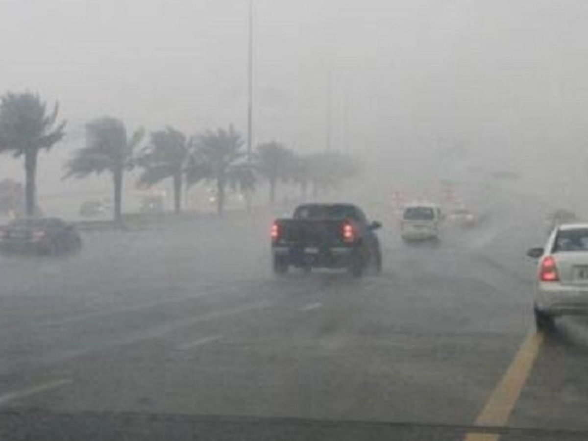 Storms to Peak on Thursday