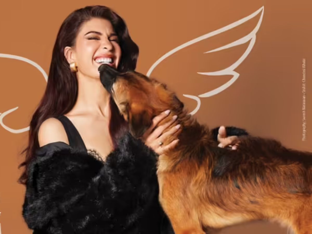 YOLO Foundation & Community Welfare