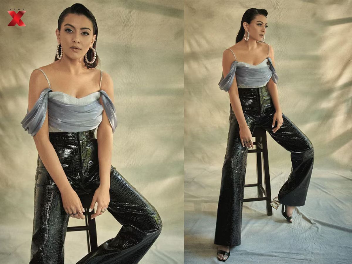 Hansika motwani net worth 2026