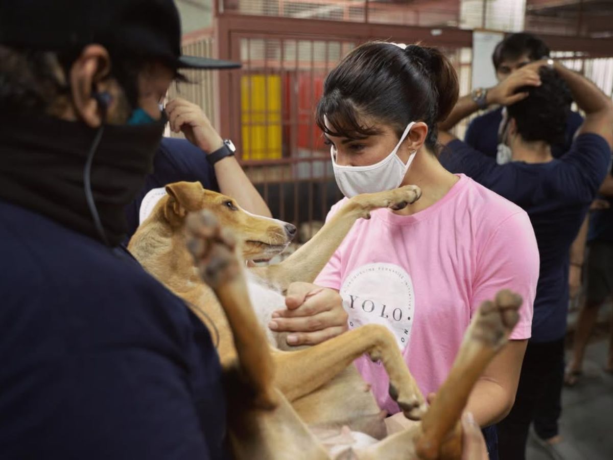 Education & Global Collaborations