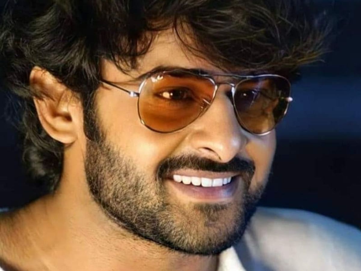 Adopting 1,650 Acres for Environmental Conservation