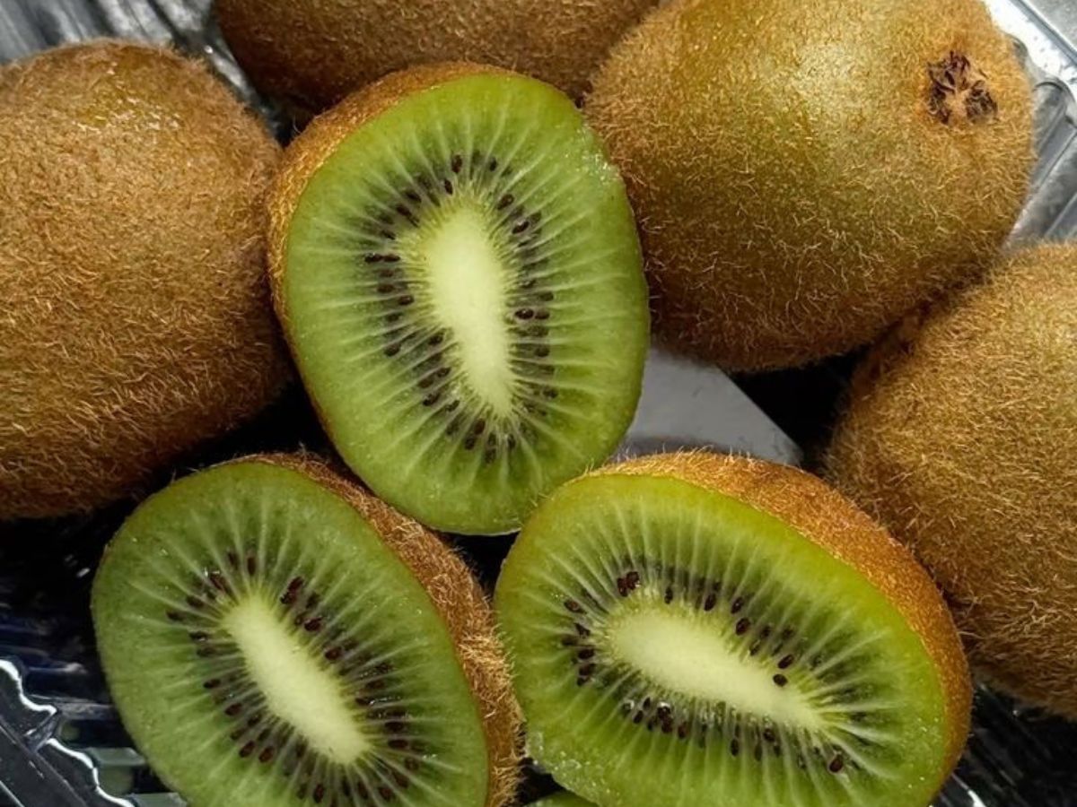 Kiwi