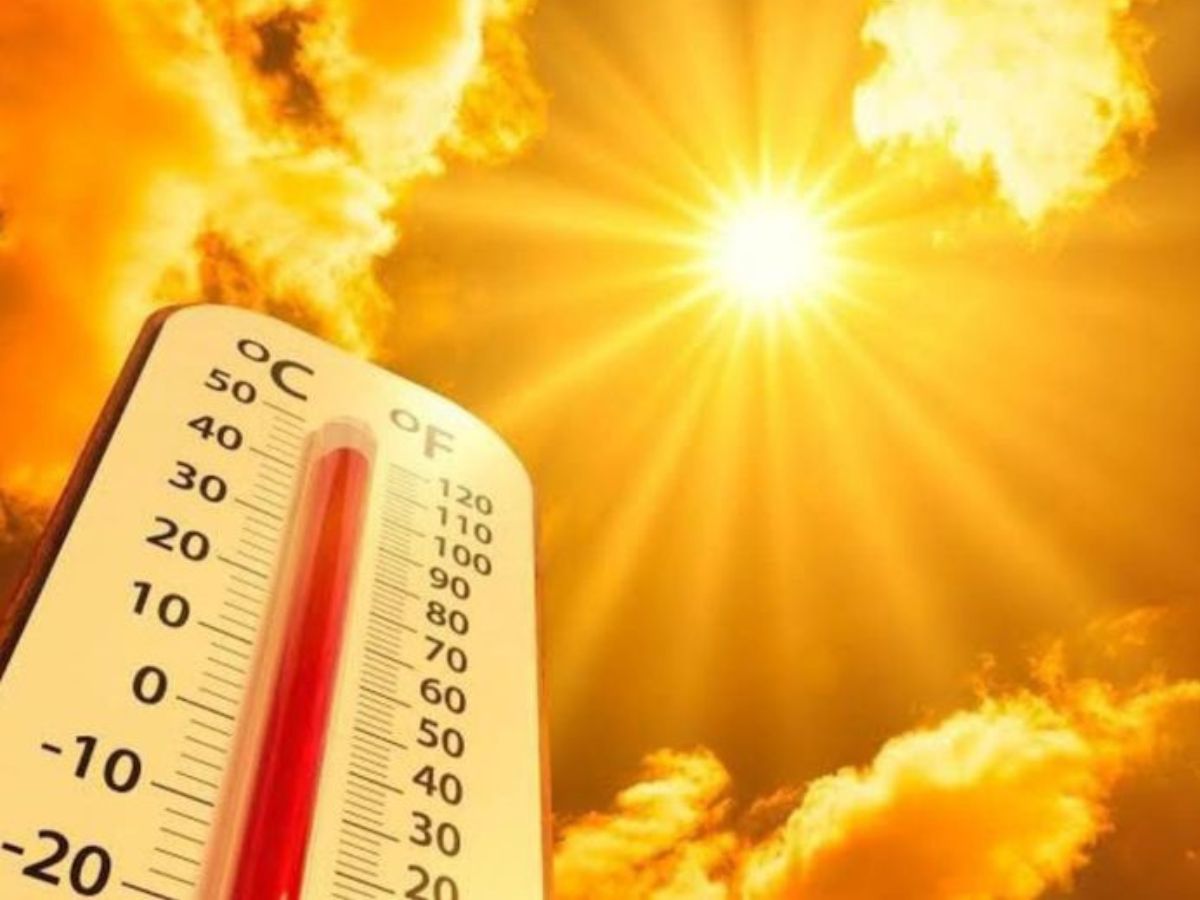 Peak Temperatures and Forecast
