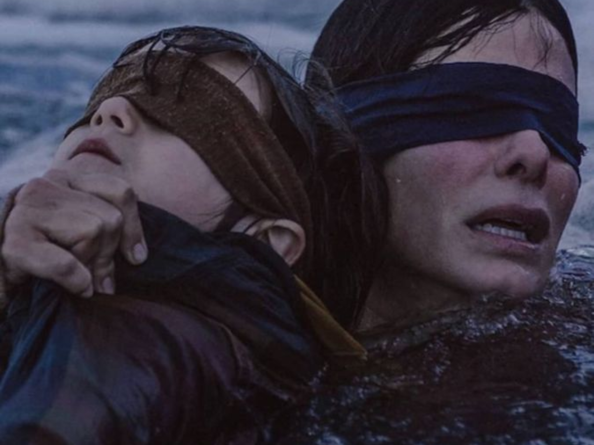 Bird Box