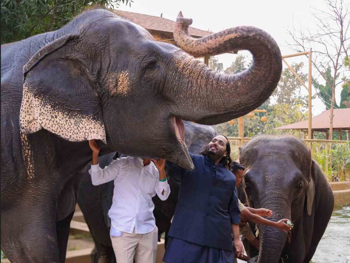 3,000 Kg Fruit Feast