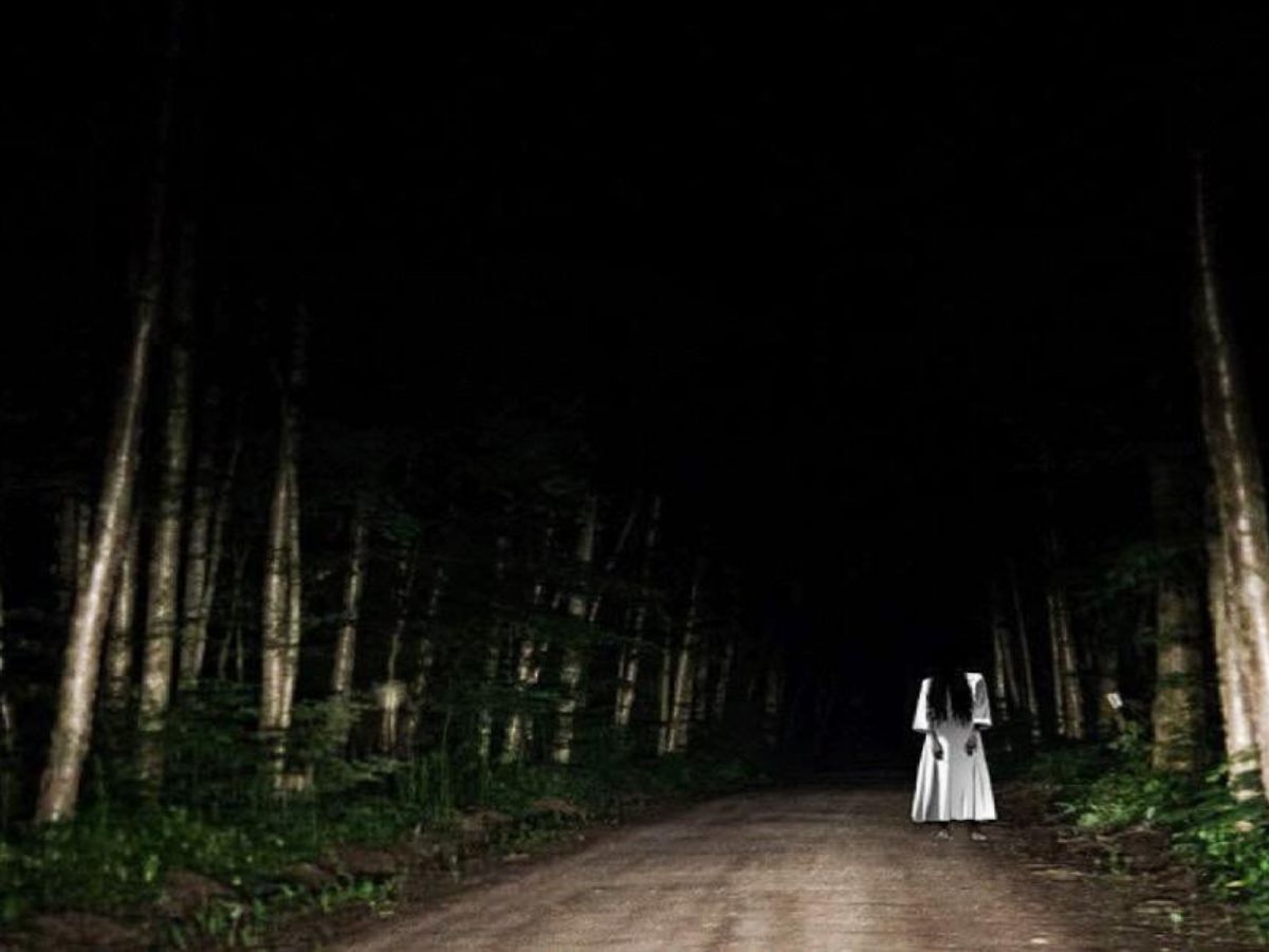 Delhi Cantonment, Delhi