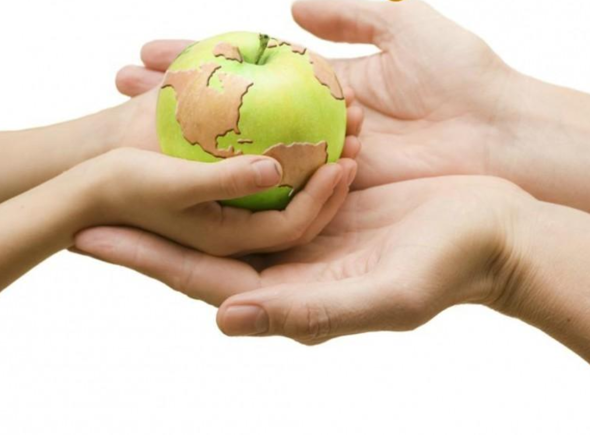 Healthy Lifestyle Tips