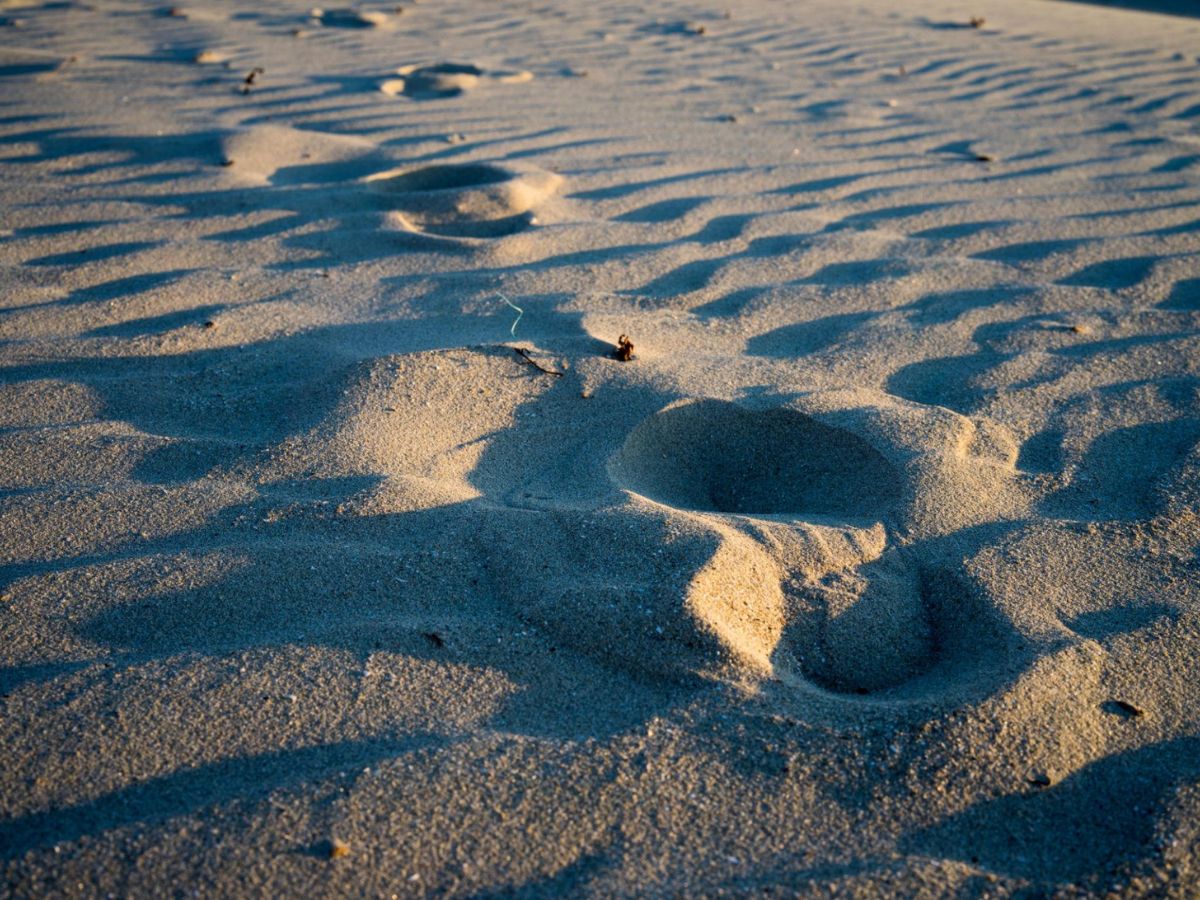 Why Dumas Beach Has Black Sand