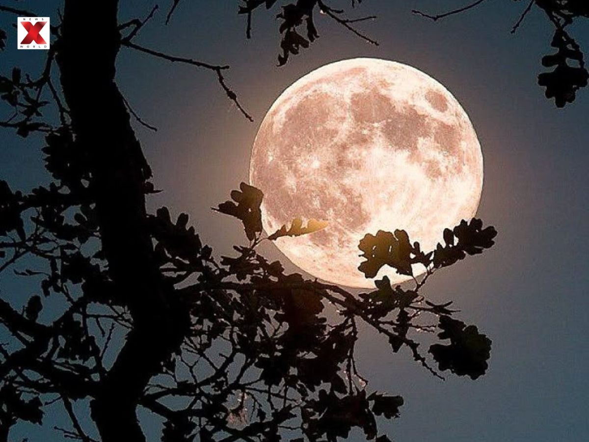 Warm Nights Continue