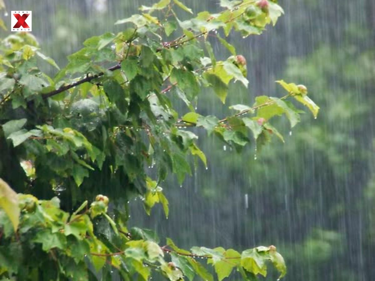 Very Low Rain Probability