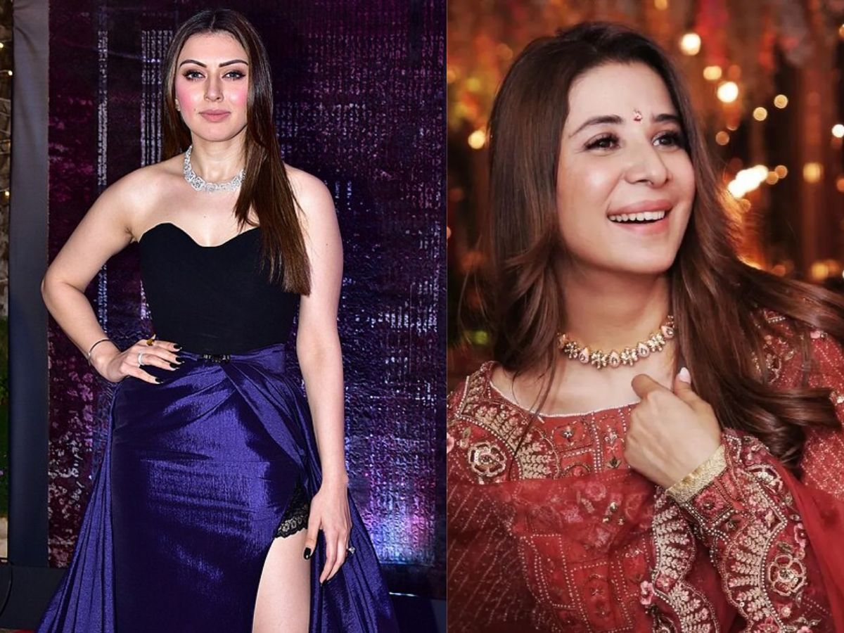 Hansika motwani net worth 2026