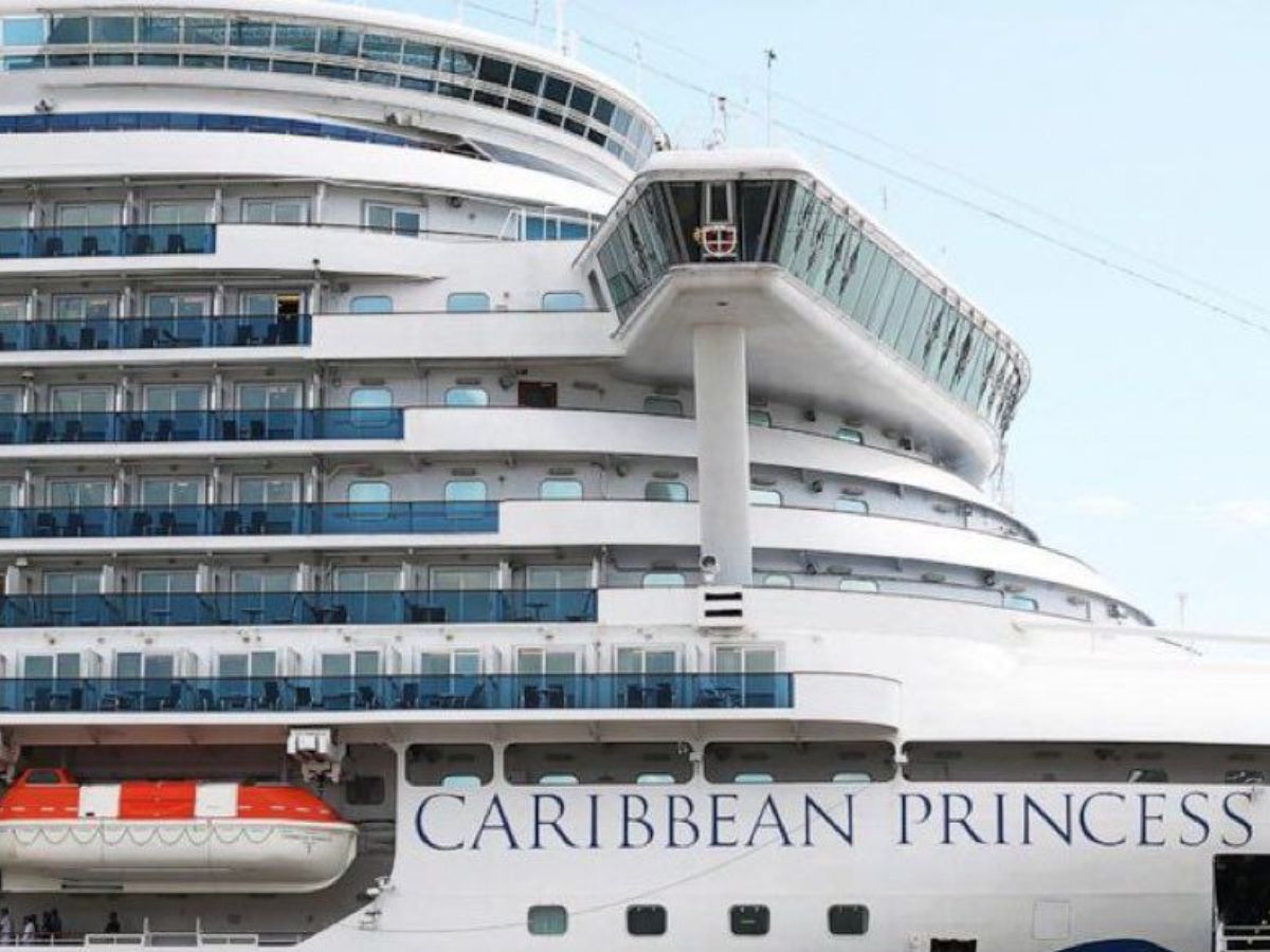 What Is Norovirus? Princess Cruise Ship Outbreak Infects Over 115 Passengers, US CDC Confirms