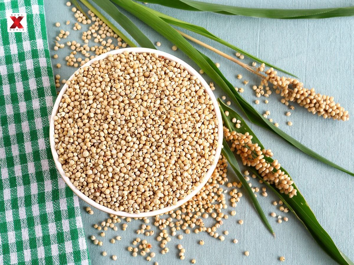 Jowar (Sorghum)