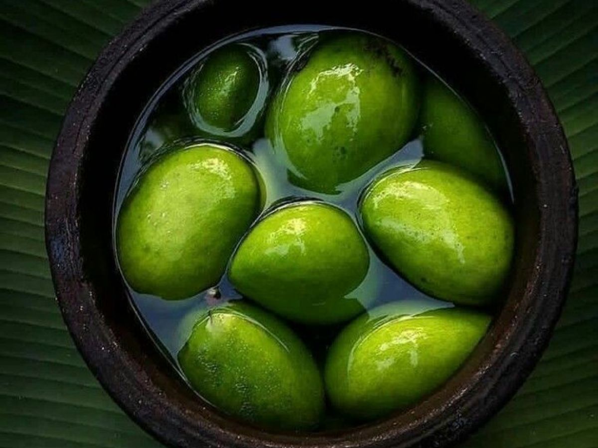 Kohitur Mango (India)