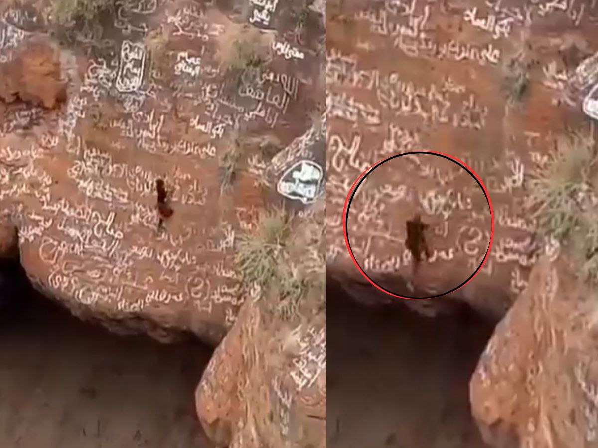 Viral Video: Yemeni Acrobat Al-Qa'qa' bin Antar Dies After Falling Into Volcanic Crater During Stunt | WATCH